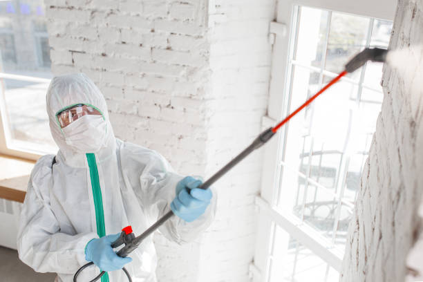 Best Emergency Mold Remediation  in Paonia, CO